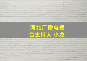 河北广播电视台主持人 小龙